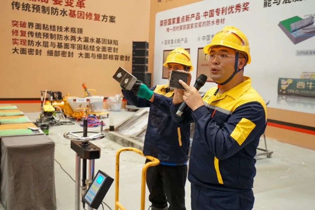 DSC00969.JPG 图片关键词