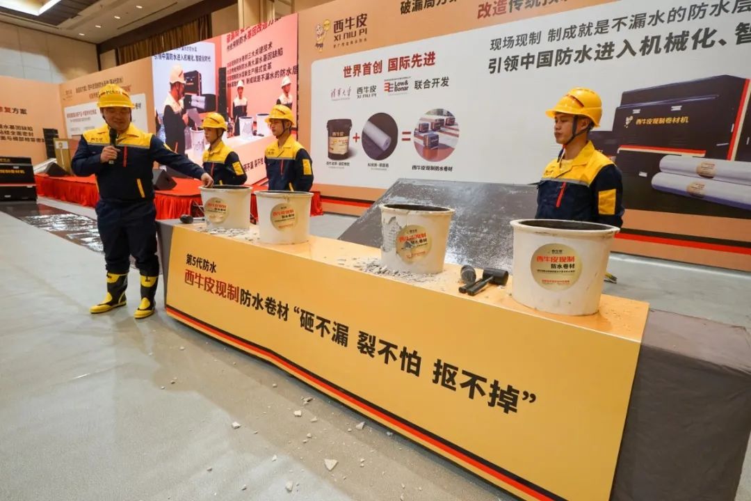 DSC00596.JPG 图片关键词