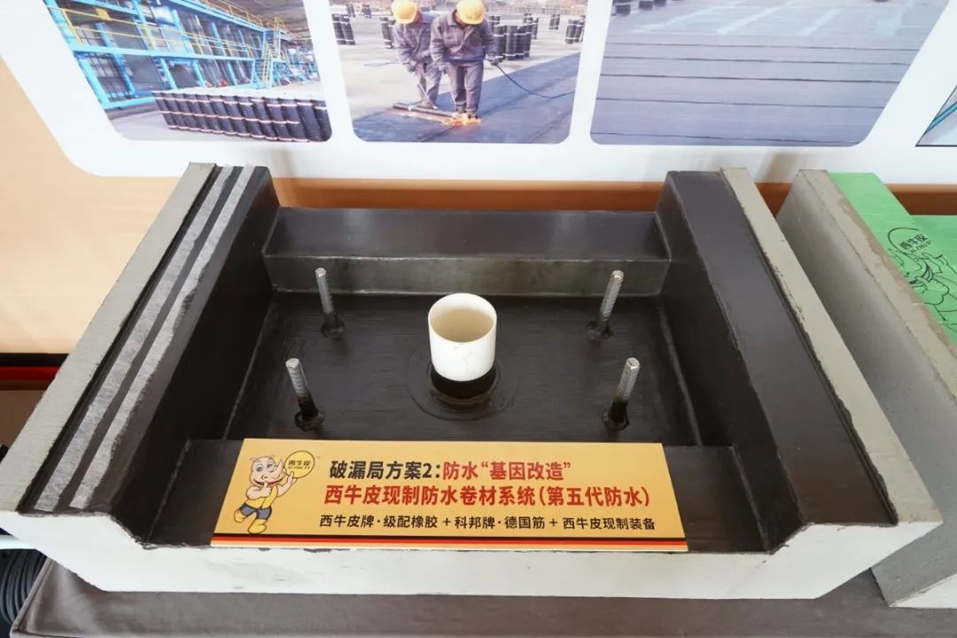 DSC00581.JPG 图片关键词