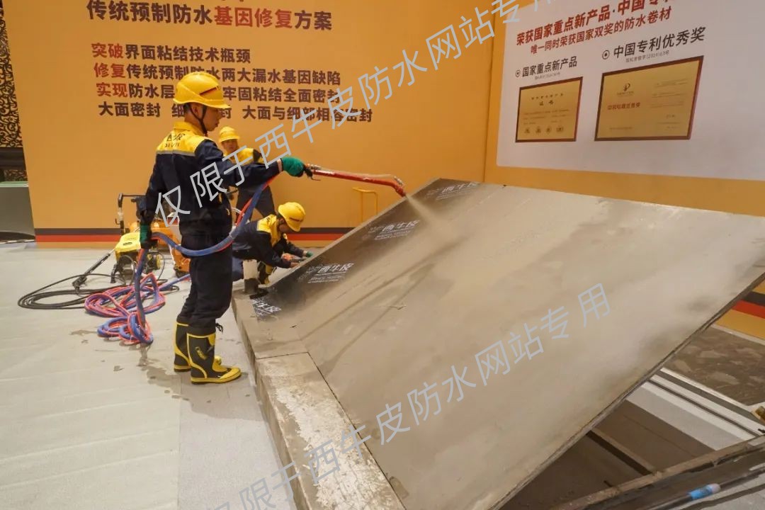 CPS1.jpg 图片关键词