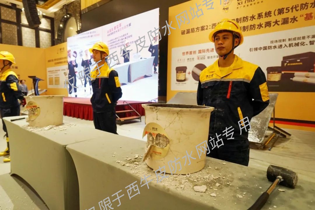 展示3.jpg 图片关键词