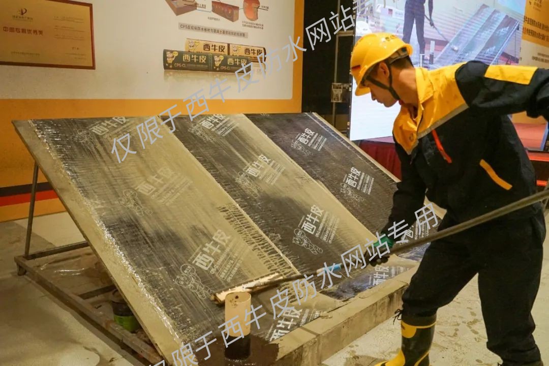 CPS2.jpg 图片关键词