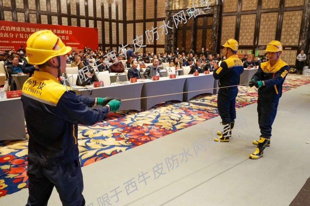 展示2.jpg 图片关键词