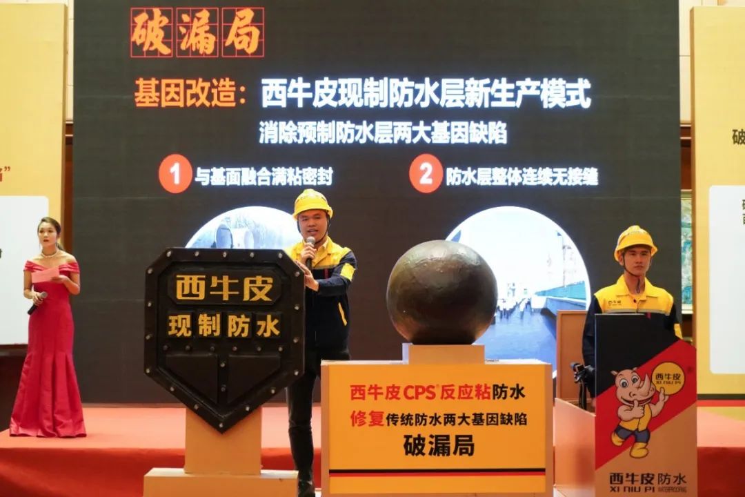 DSC00864.JPG 图片关键词