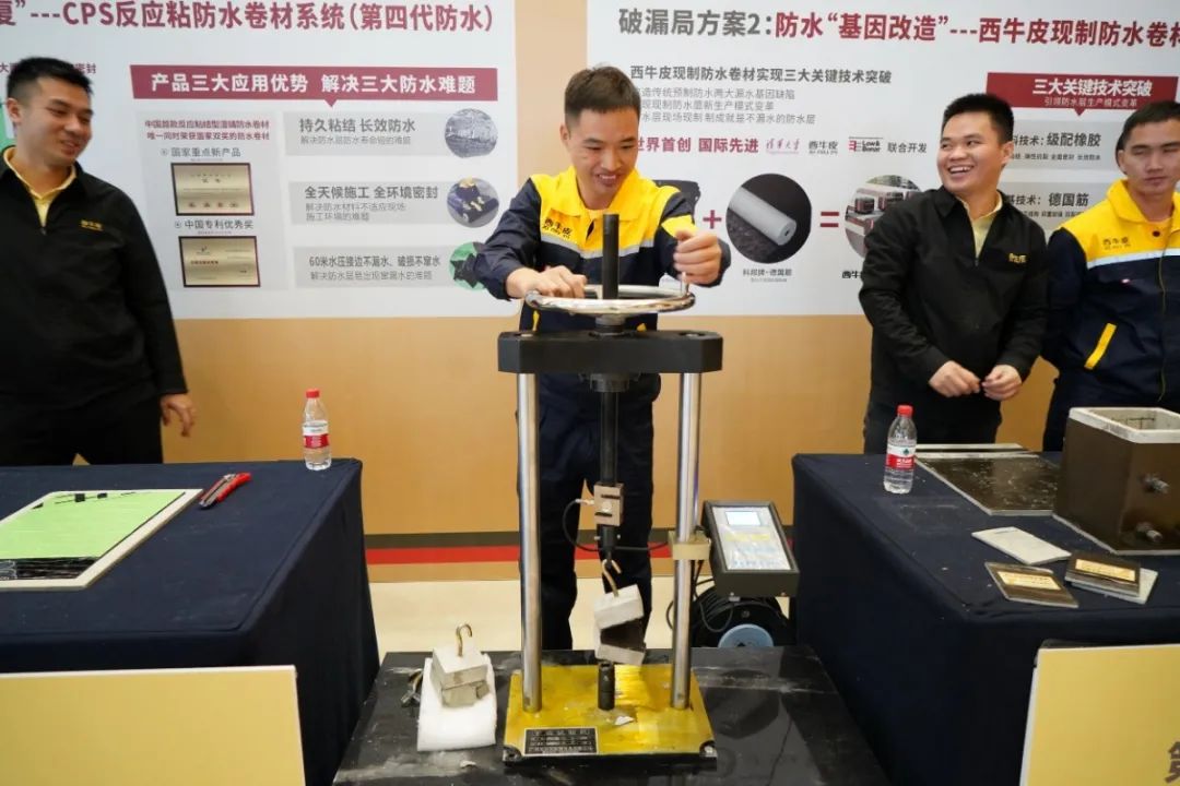 DSC00601.JPG 图片关键词