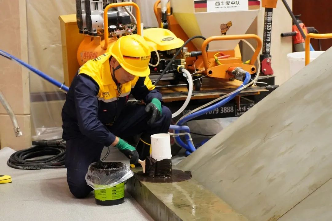 DSC00961.JPG 图片关键词