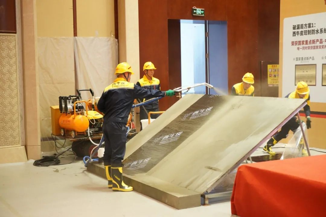 DSC00969.JPG 图片关键词