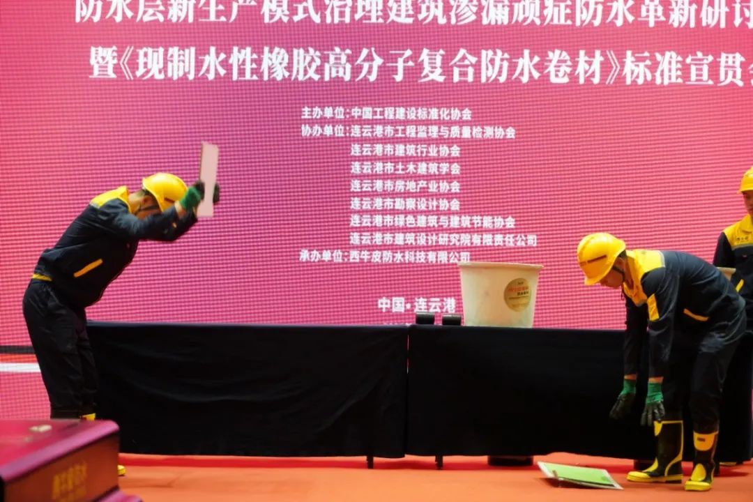 DSC01042.JPG 图片关键词