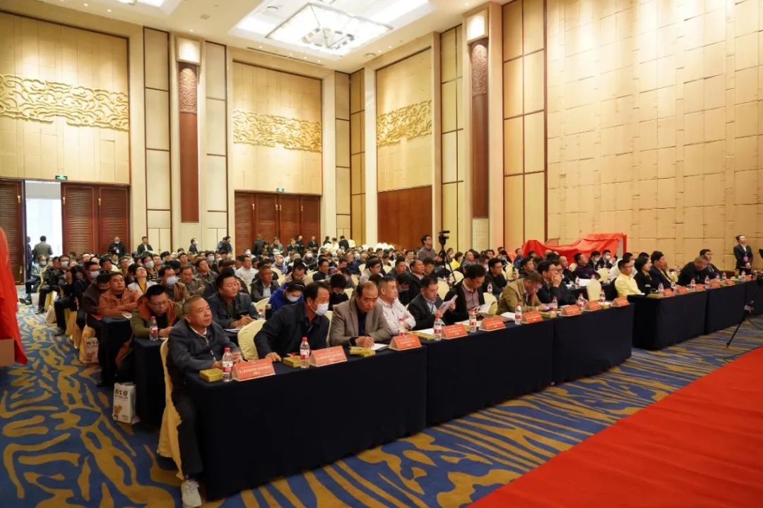 DSC00683.JPG 图片关键词